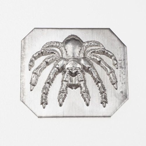 Gemina Tarantula Spider Impression