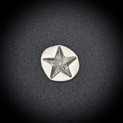 133 - Seastar Impression