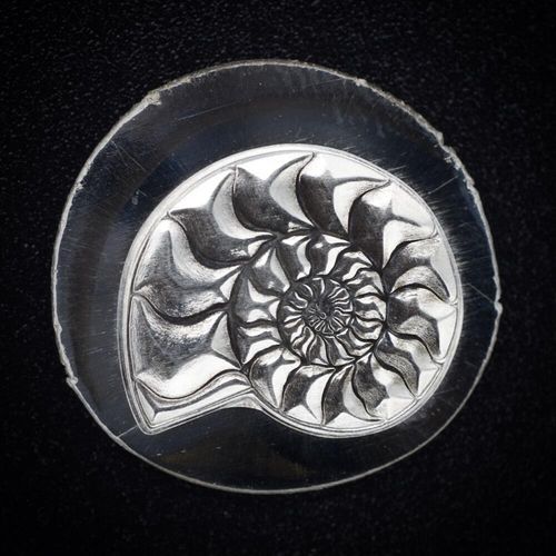 221 - Gemina Facetted Ammonite impression