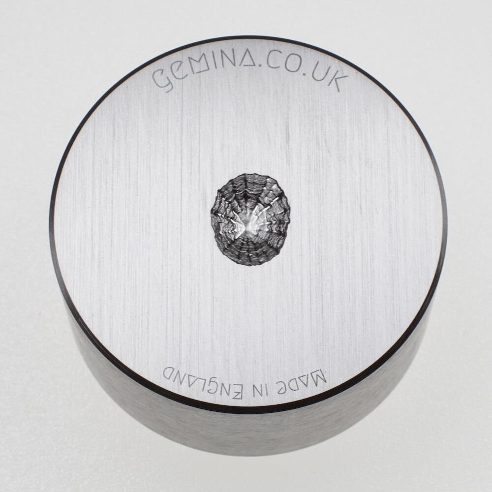 237 - Small Limpet Shell Shot Plate