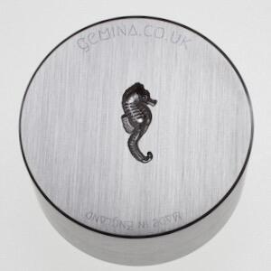 seahorse