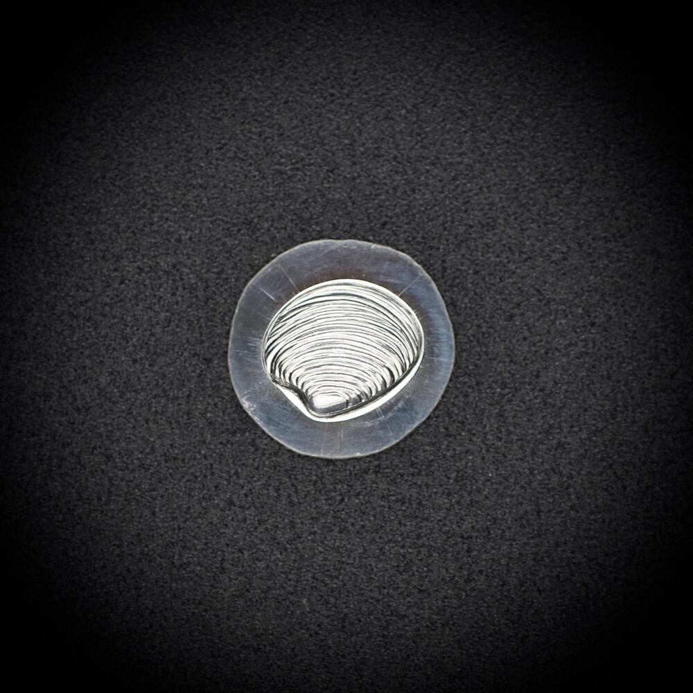 125 - Gemina Clam Shell Impression