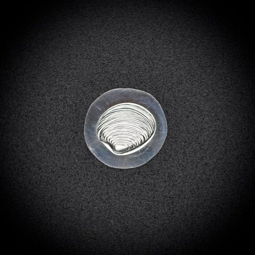 125 - Gemina Clam Shell Impression