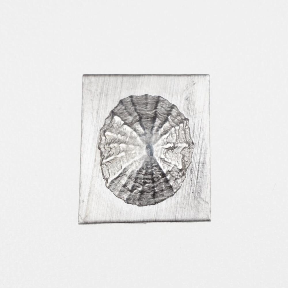 237 - Small Limpet Shell Impression