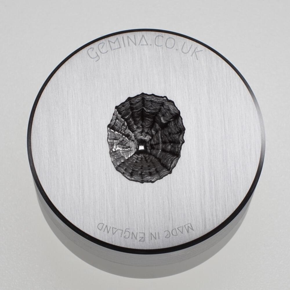 Gemina Large Limpet Shell Impression Die