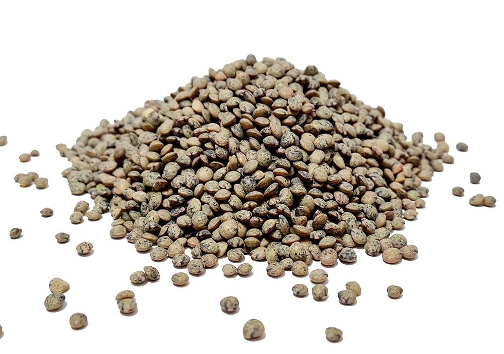 Dark Green Speckled Lentils (Puy)