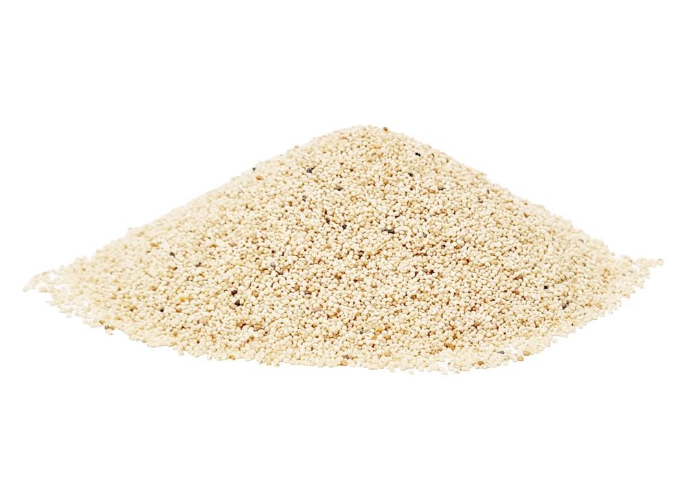 Hulme White Poppy Seeds
