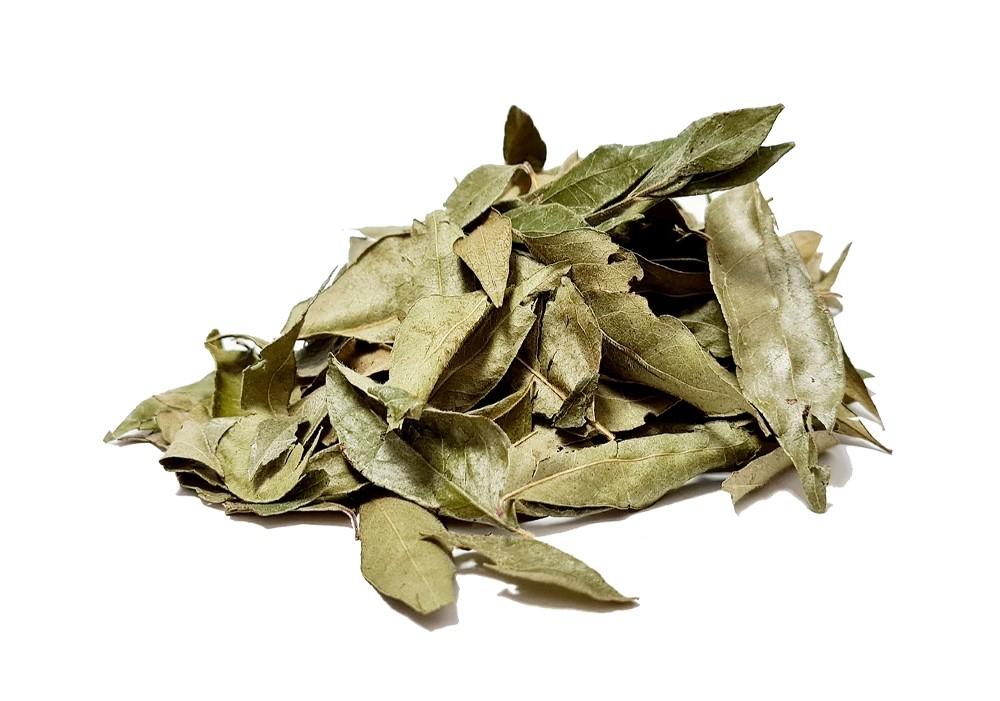 Grand Curry Leaves