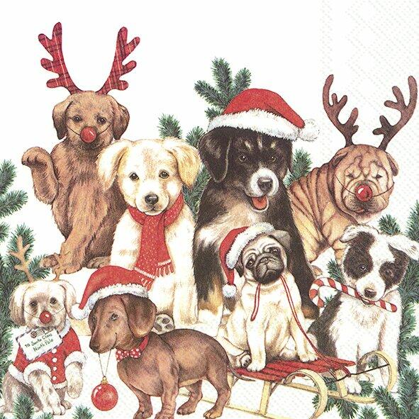 IHR - Napkins - Luncheon - Dog Mas - Lots of Christmas Dogs