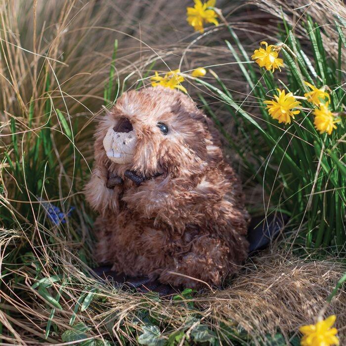 Wrendale Designs Chester Beaver - Medium Plush 18cm