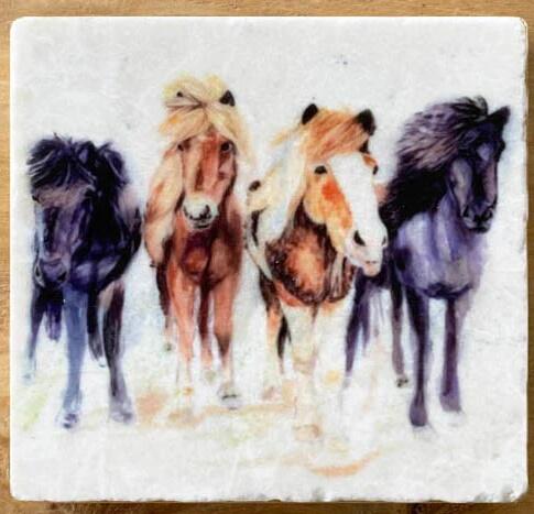 Country Creation - Marble Coaster - The Pony Club