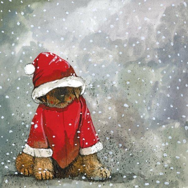 Alex Clark Tiny Tim Christmas Pack of 5 Cards