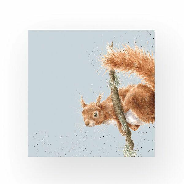 Wrendale Designs - Napkins - Cocktail - The Acrobat Squirrel