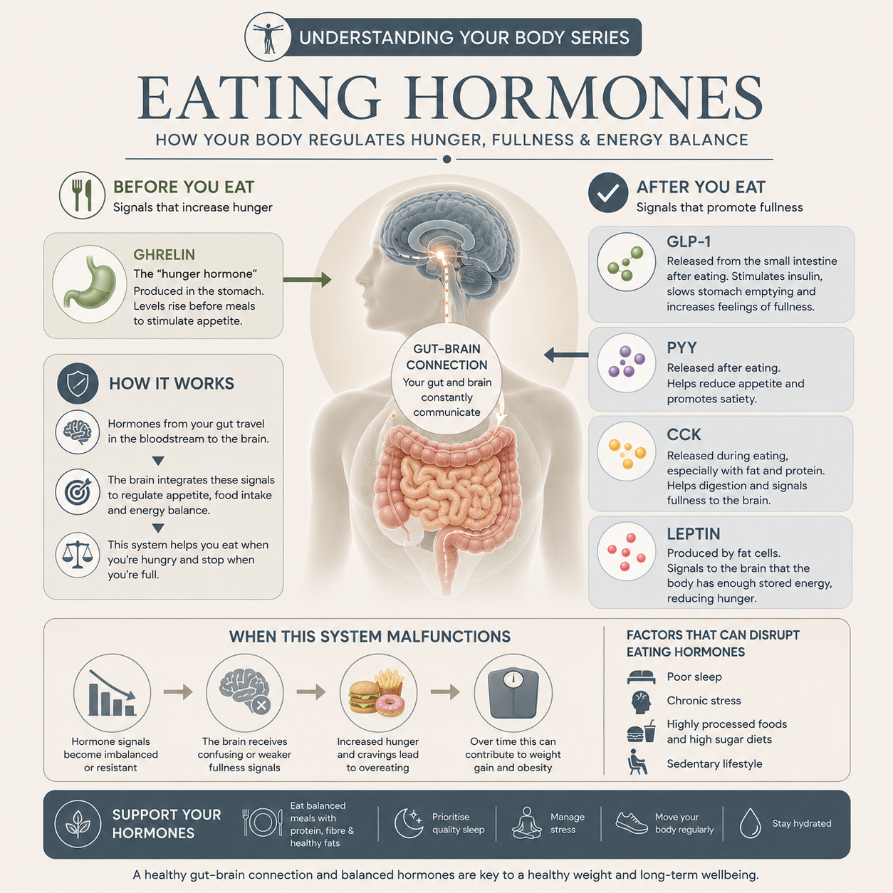 Educational infographic explaining the hormones that regulate appetite and fullness, including ghrelin, GLP-1, PYY, CCK and leptin. It illustrates how the gut-brain axis helps control hunger, satiety and energy balance, and how disruption to these hormone signals may contribute to overeating, weight gain and obesity.