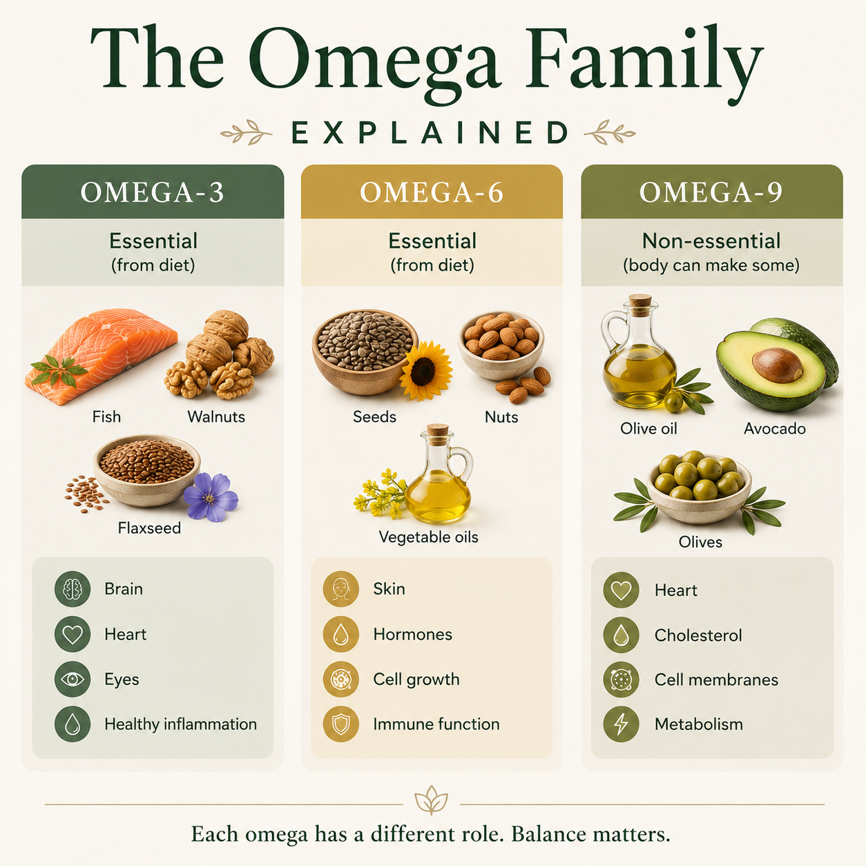 Educational infographic explaining the differences between Omega-3, Omega-6 and Omega-9 fatty acids, including whether they are essential, their main food sources and their key health benefits for the brain, heart, skin, hormones, immune system and healthy cell function.