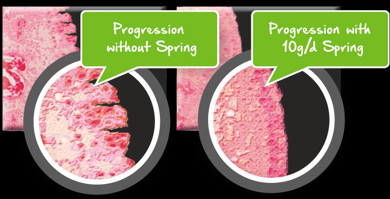 springbeforeandafterimage.jpg