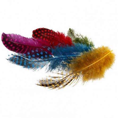 Feather Products