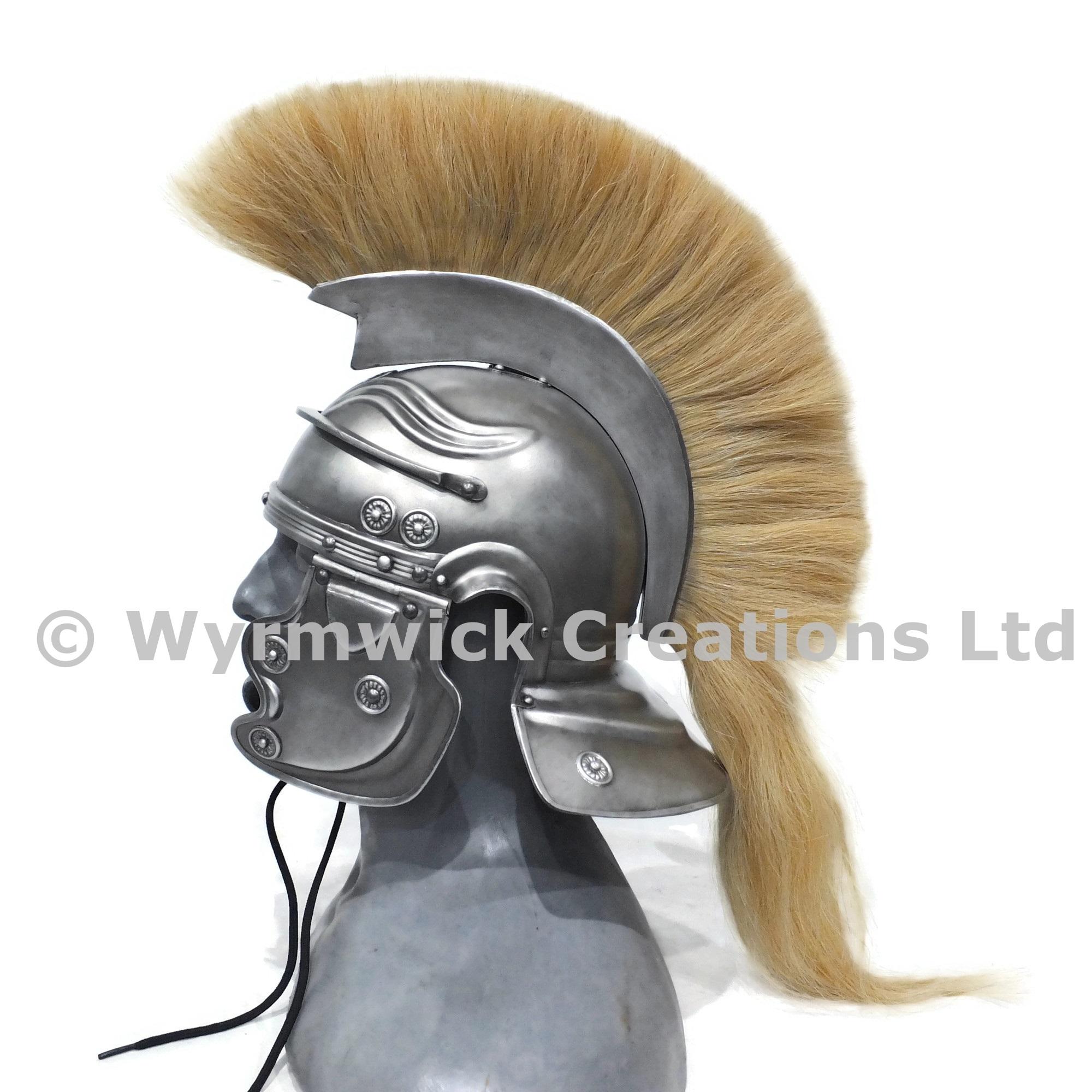 Custom plume fitted to our Roman helmet