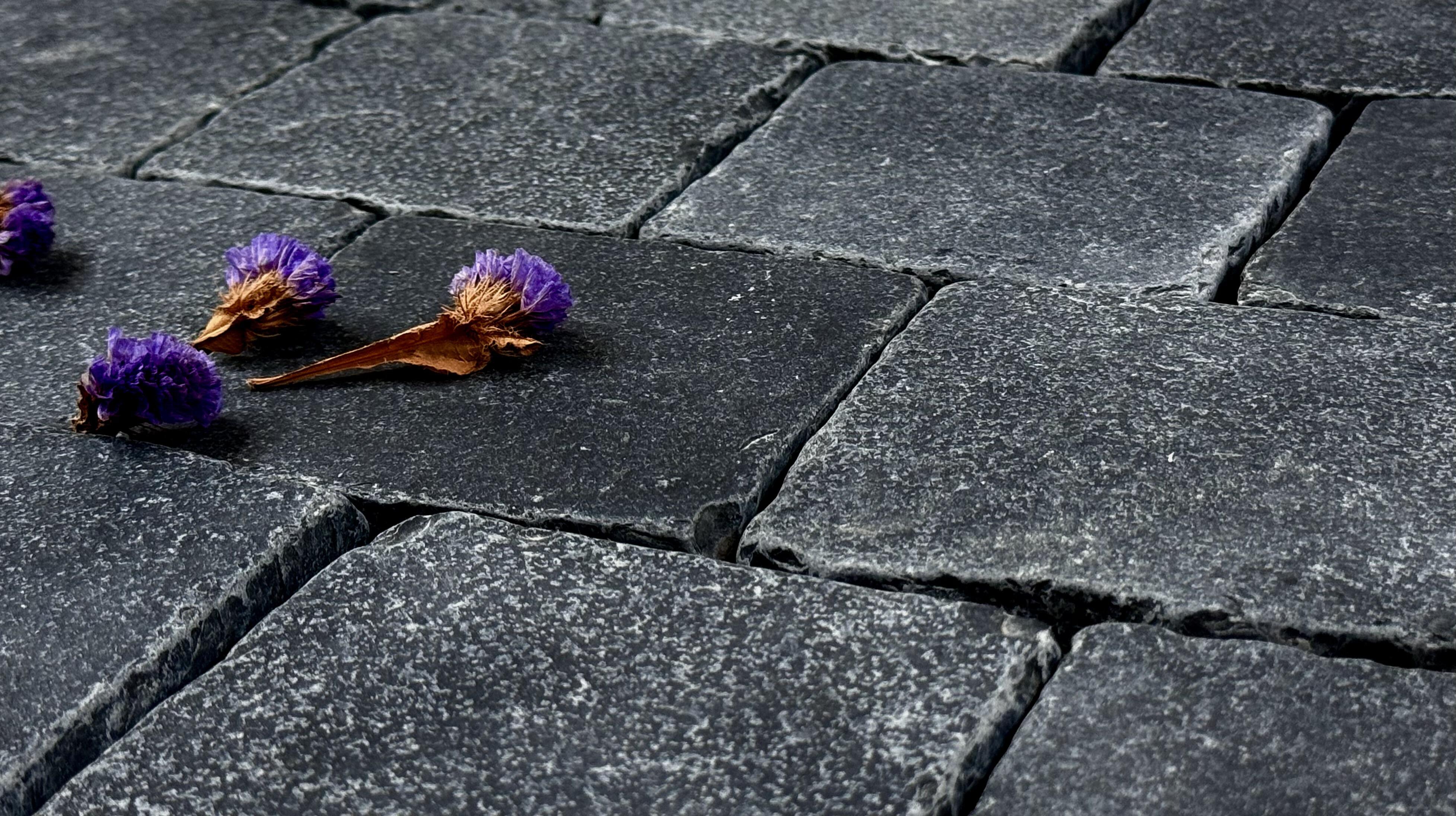 Black Tumbled Outdoor Limestone Cobbles
