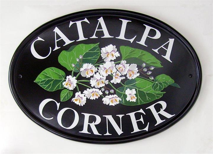 Catalpa flowers