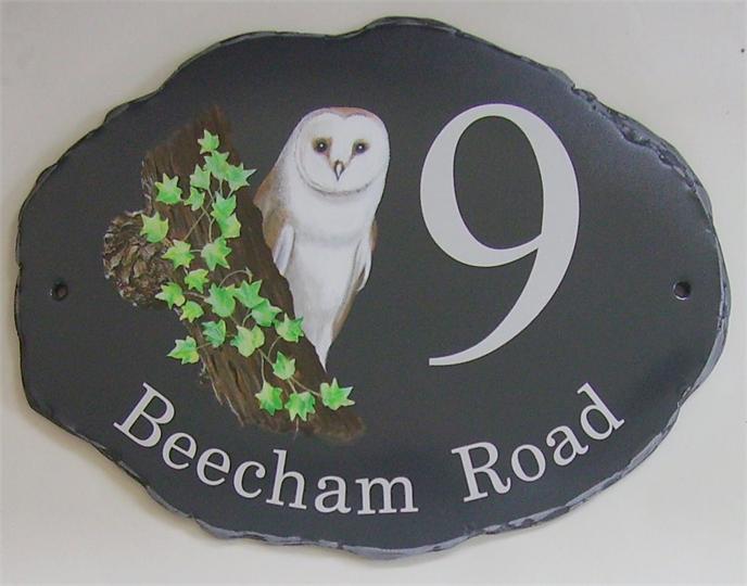 Barn owl behind tree stump sign