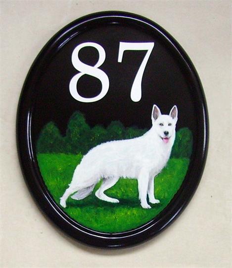 White German Shepherd dog portrait