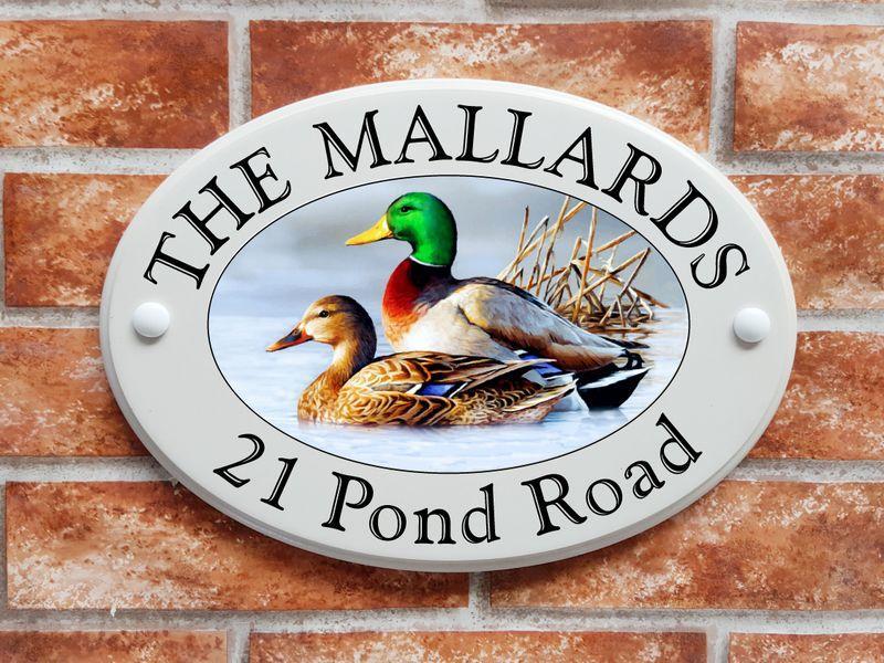 Mallard Ducks (code 022)