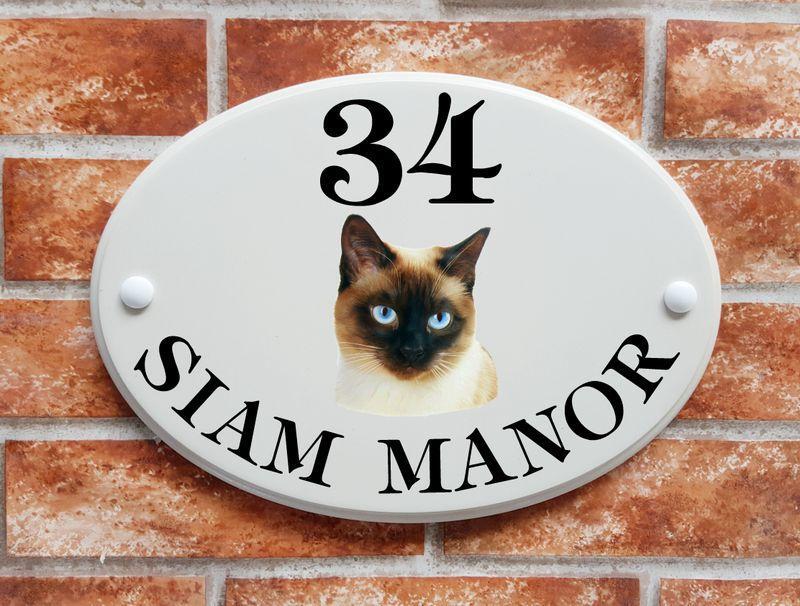 Siamese cat (code 047)