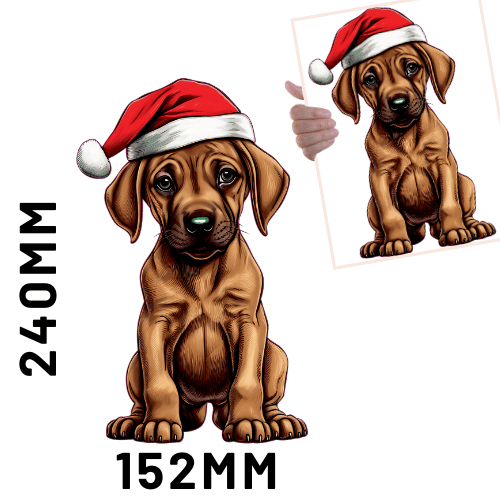 Christmas DTF - Cute Dog 1 x1
