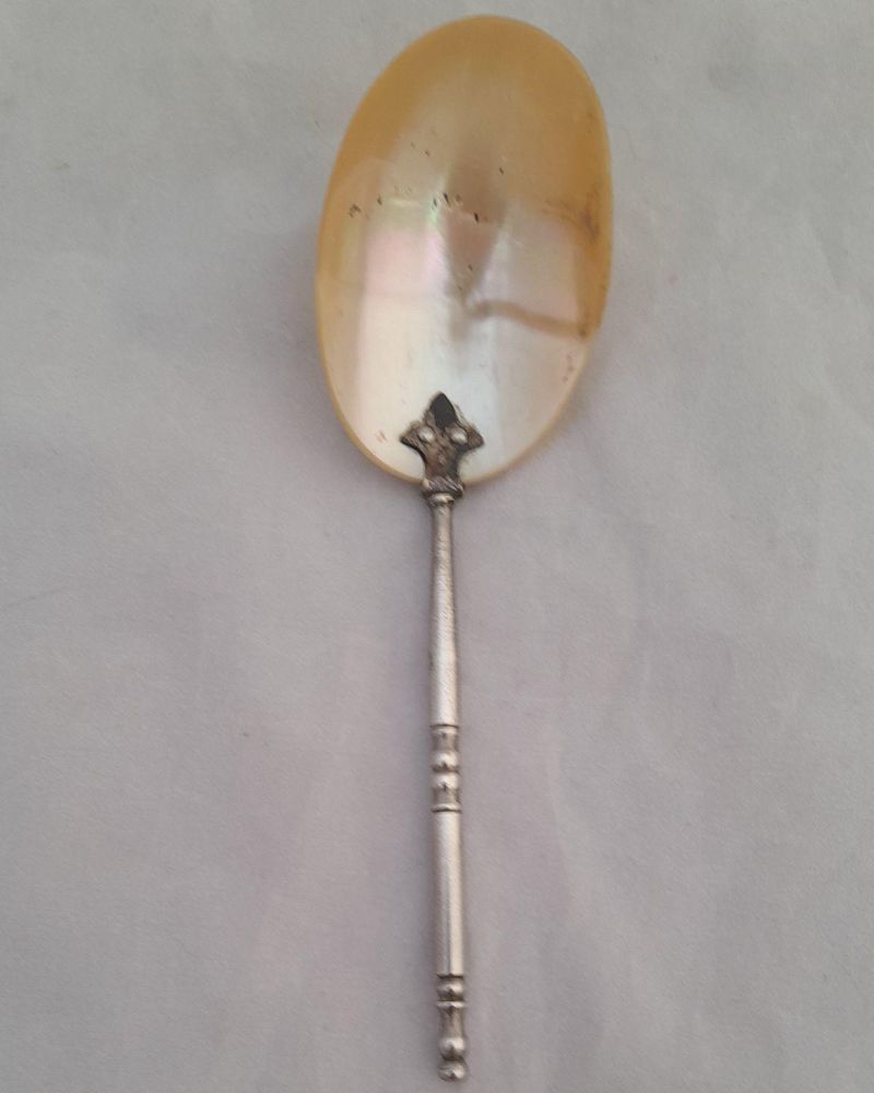 Palais Royal Mother of Pearl spoon and silver plated brass handle Antique French Grand Tour 1880
