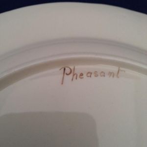 Close up of the title - Pheasant