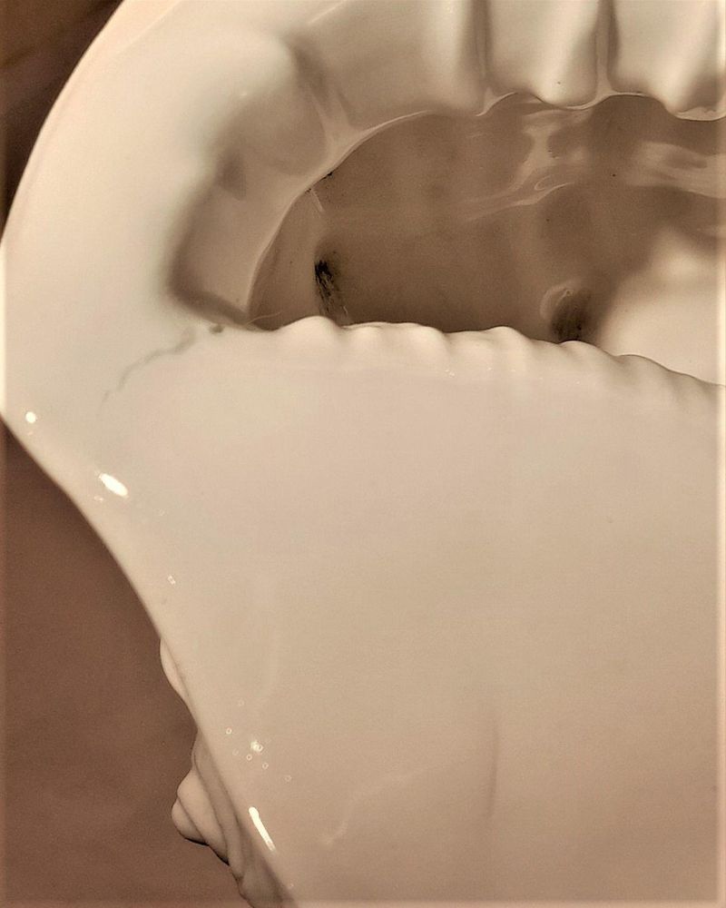 Antique Wedgwood White Porcelain Centrepiece - Fine Bone China Conch Shell sat Upon Coral on a round base - Victorian circa 1900 - 24.8 cm H 19 cm L
