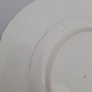 Detail firing tear 2 - John Rose Coalport Porcelain dessert plate - Oeil de Perdix Union pattern border floral cartouches circa 1825