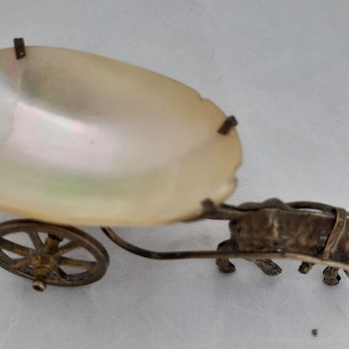 detail of shell