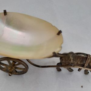 detail of shell