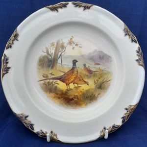 Main image plate on a stand