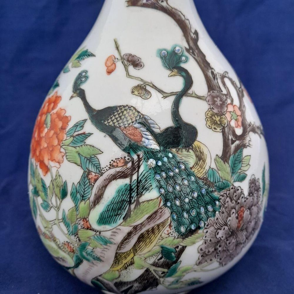 Close up of the peacocks