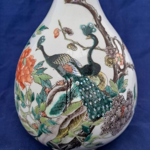 Close up of the peacocks