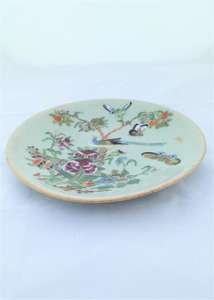 Chinese Canton Celadon Plate Painted Bird and Butterflies 19th C Antique