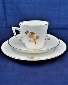 Wileman & Co Foley China pre-Shelley Porcelain Trio Cup Saucer & Plate - Victoria Shape decorated in the Gilded Aster Pattern 3980 Antique ca 1889 -2