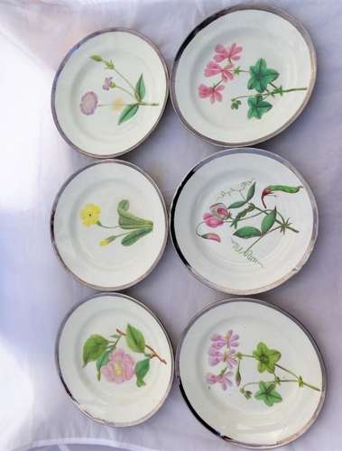 Antique Pearlware Botanical Plates Set Six Hand Painted Silver Lustre Rim c 1810