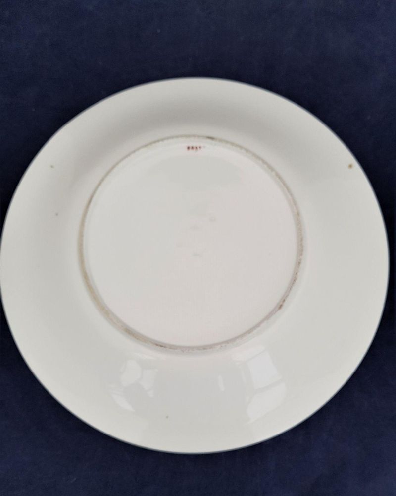 An antique Royal Worcester Porcelain Botanical Dessert Plate Heather Pattern number 8893 impressed date code 1904 Jewelled rim