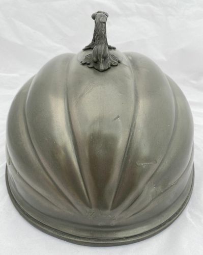 Bottom side view