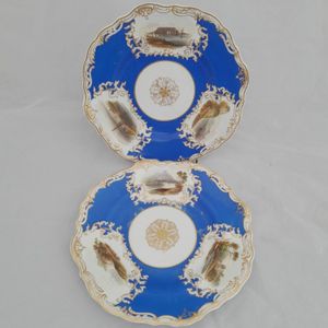 Both plates