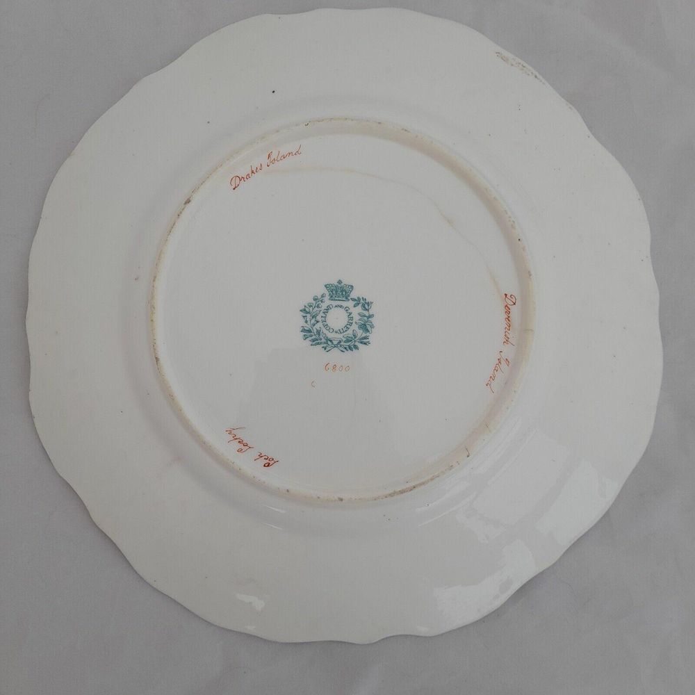Back plate 1