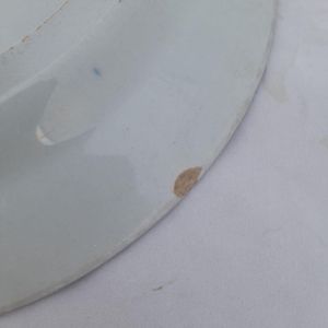 close up chip to back of plate 2