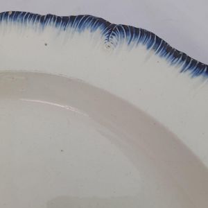 Detail of shell edge