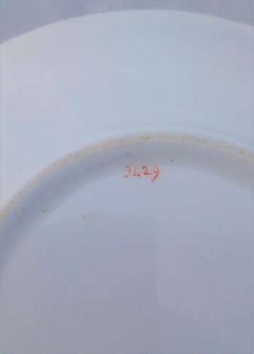 Samuel Alcock Porcelain Painted Urns Tea Cup & Saucer 3429 pattern English 1835