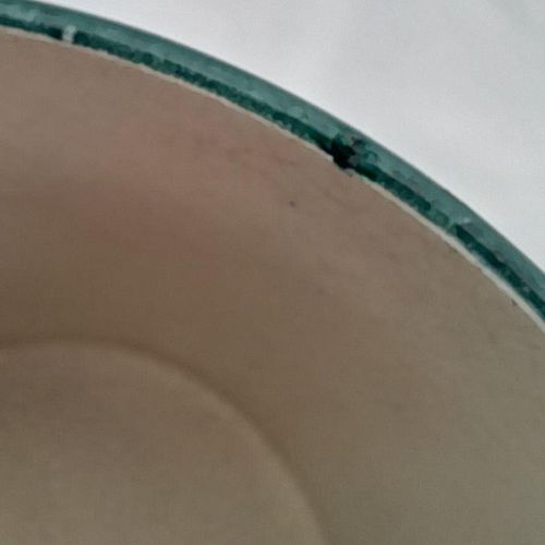 close up of disguised chip