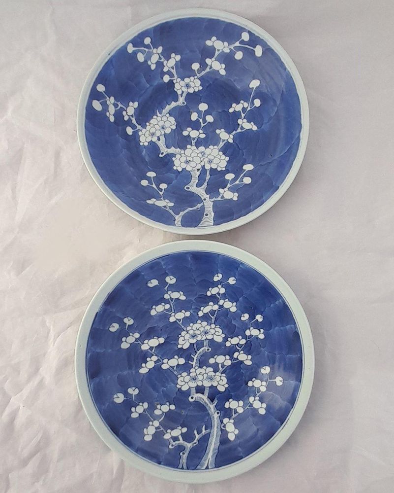 An antique pair of Chinese export porcelain dishes from the late 19th century - hand painted in cobalt  blue & white with a prunus blossom branch 28.5 cm diameter